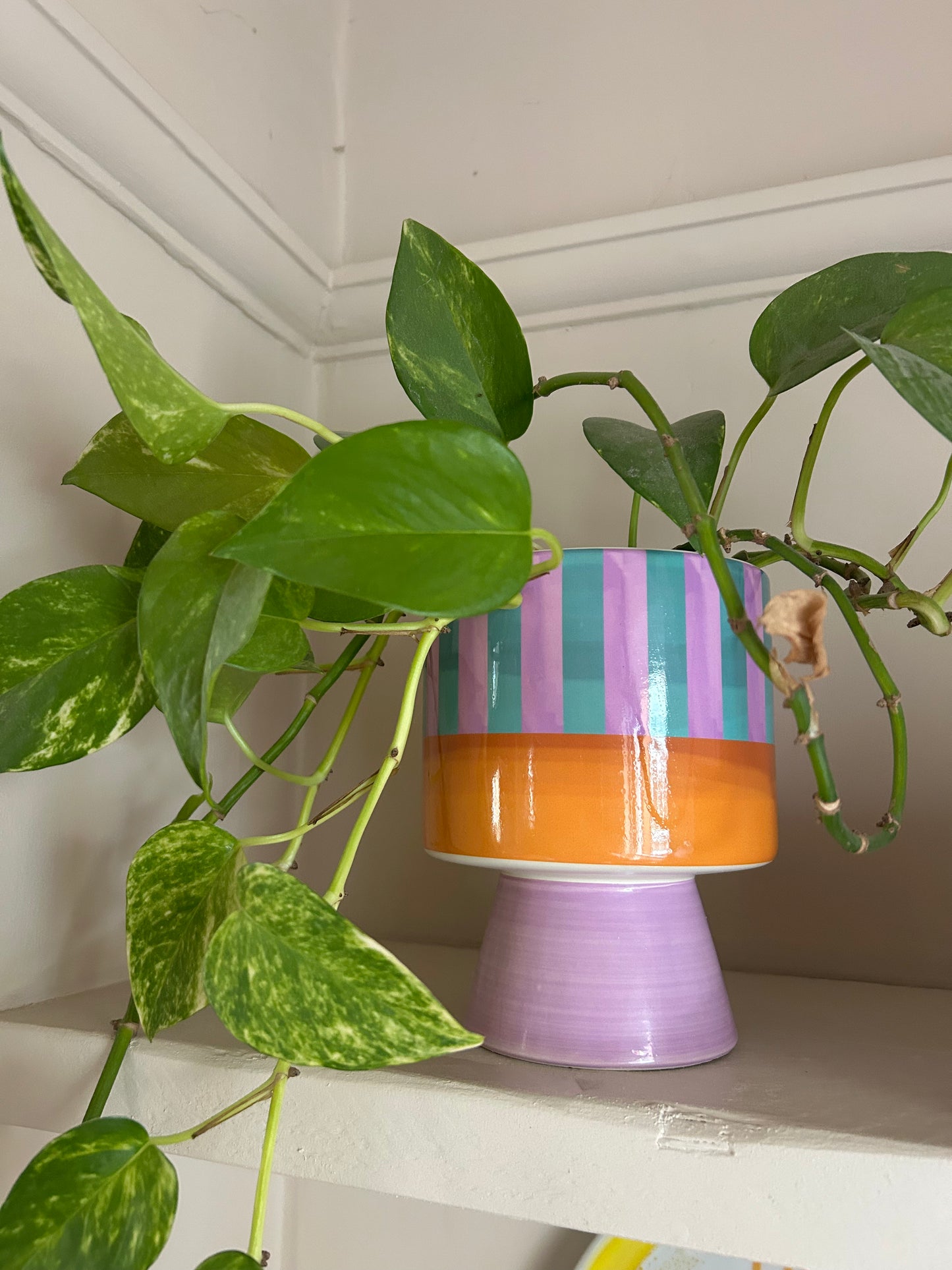 Purple, Orange & Blue Planter Pot | Colourful Plant Pot