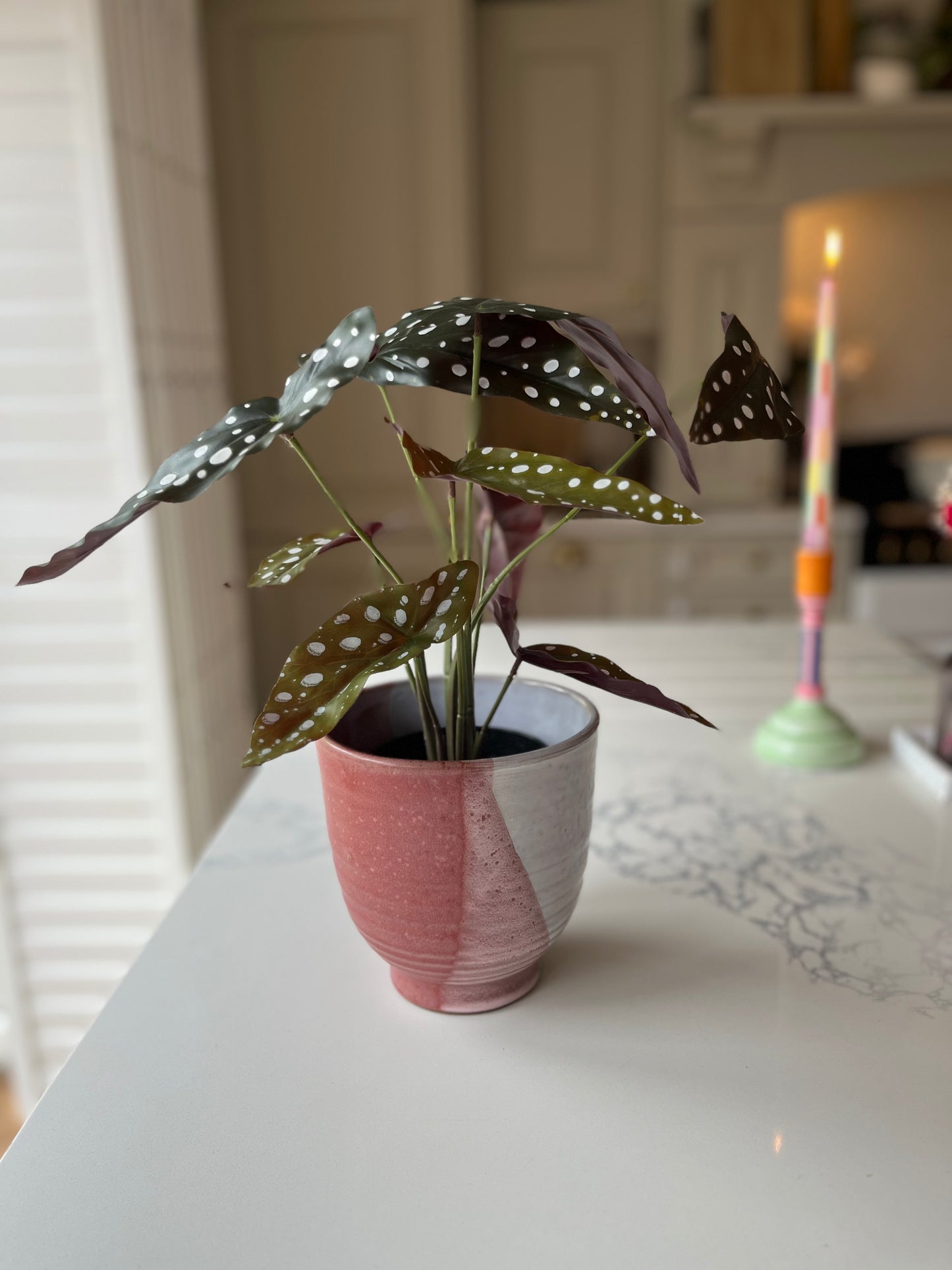 Ceramic Red Glaze Portugese Planter | Unique Ceramic Plant Pot for Home & Gifting