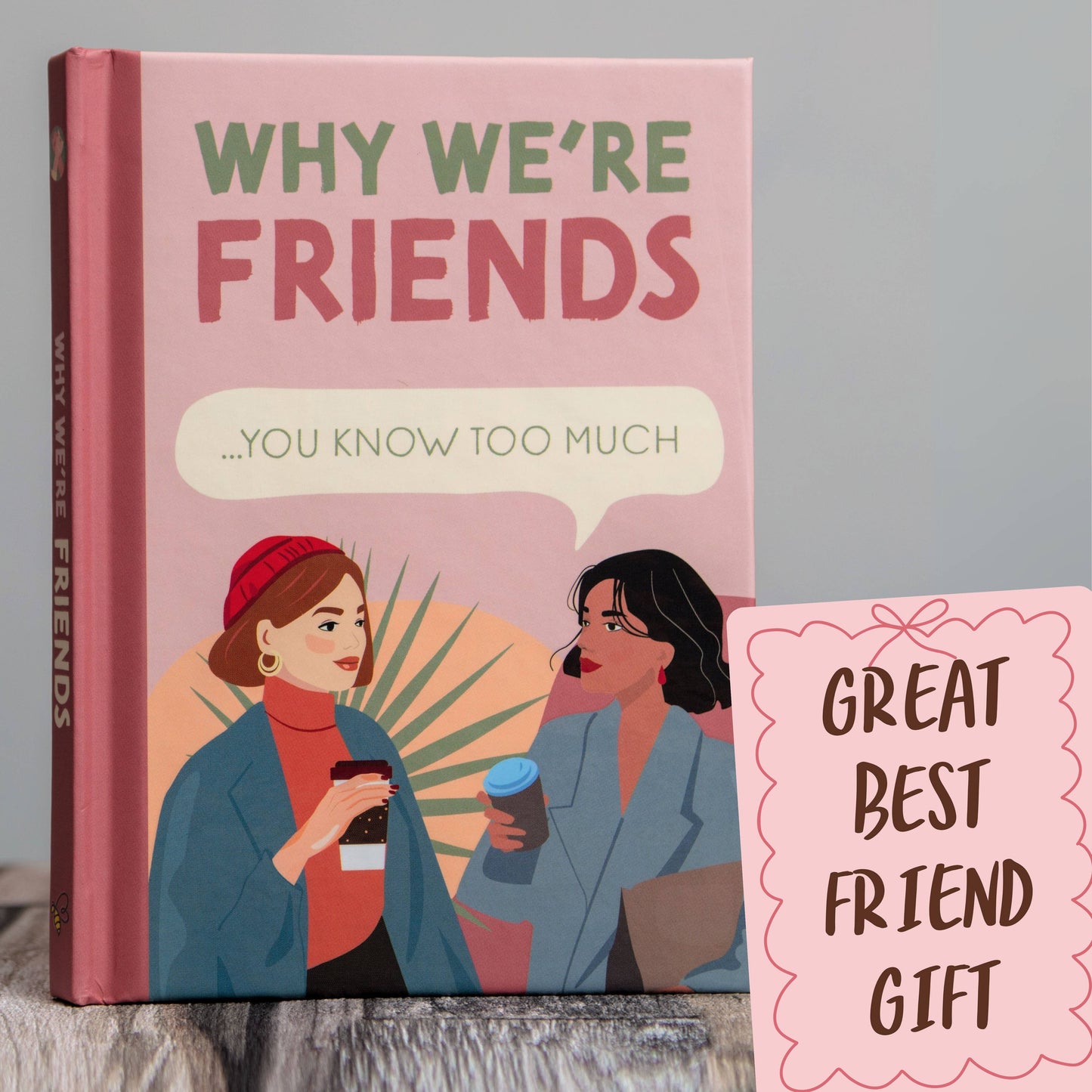 Book titled 'Why We're Friends' with illustration of two women and text on a pink background
