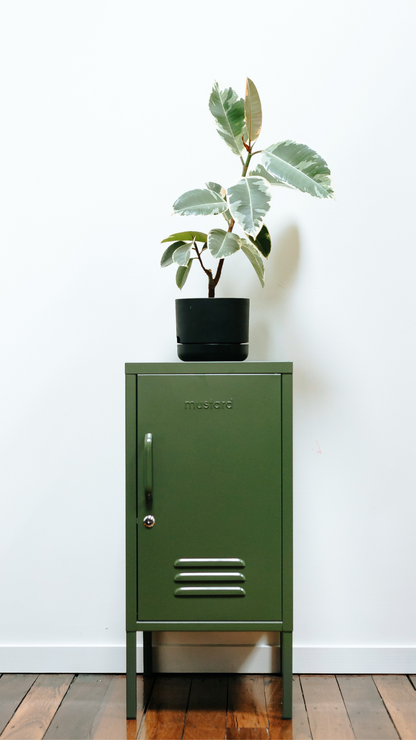 Mustard Made Shorty locker, olive
