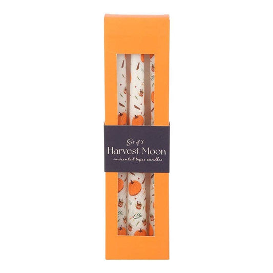 Set of 3 Autumn Pumpkin Taper Candles | Seasonal Home Décor