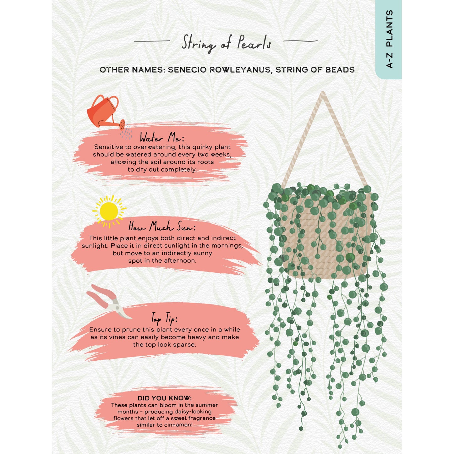 Please Don’t Die | A Funny Houseplant Care Book for Struggling Plant Parents