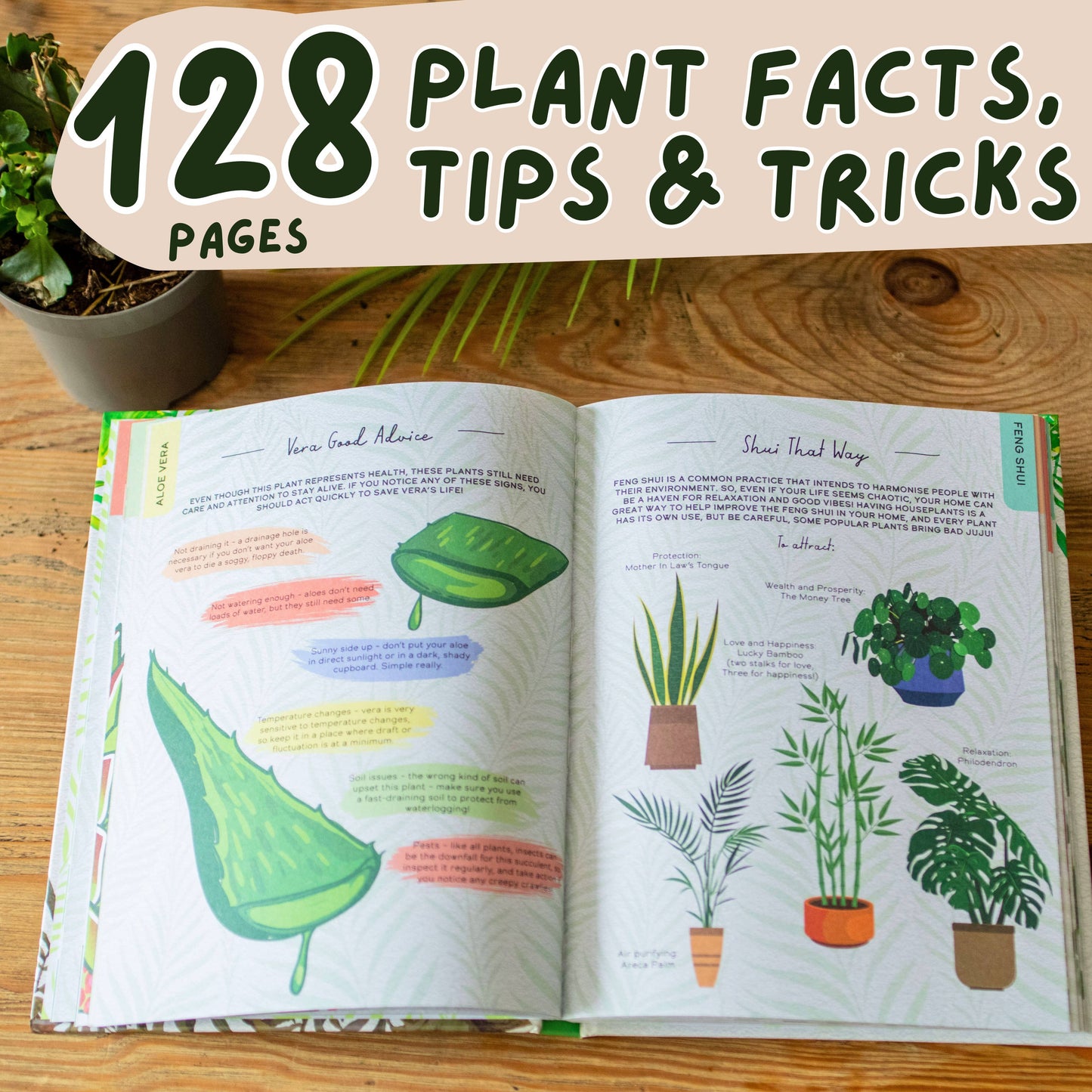 Please Don’t Die | A Funny Houseplant Care Book for Struggling Plant Parents