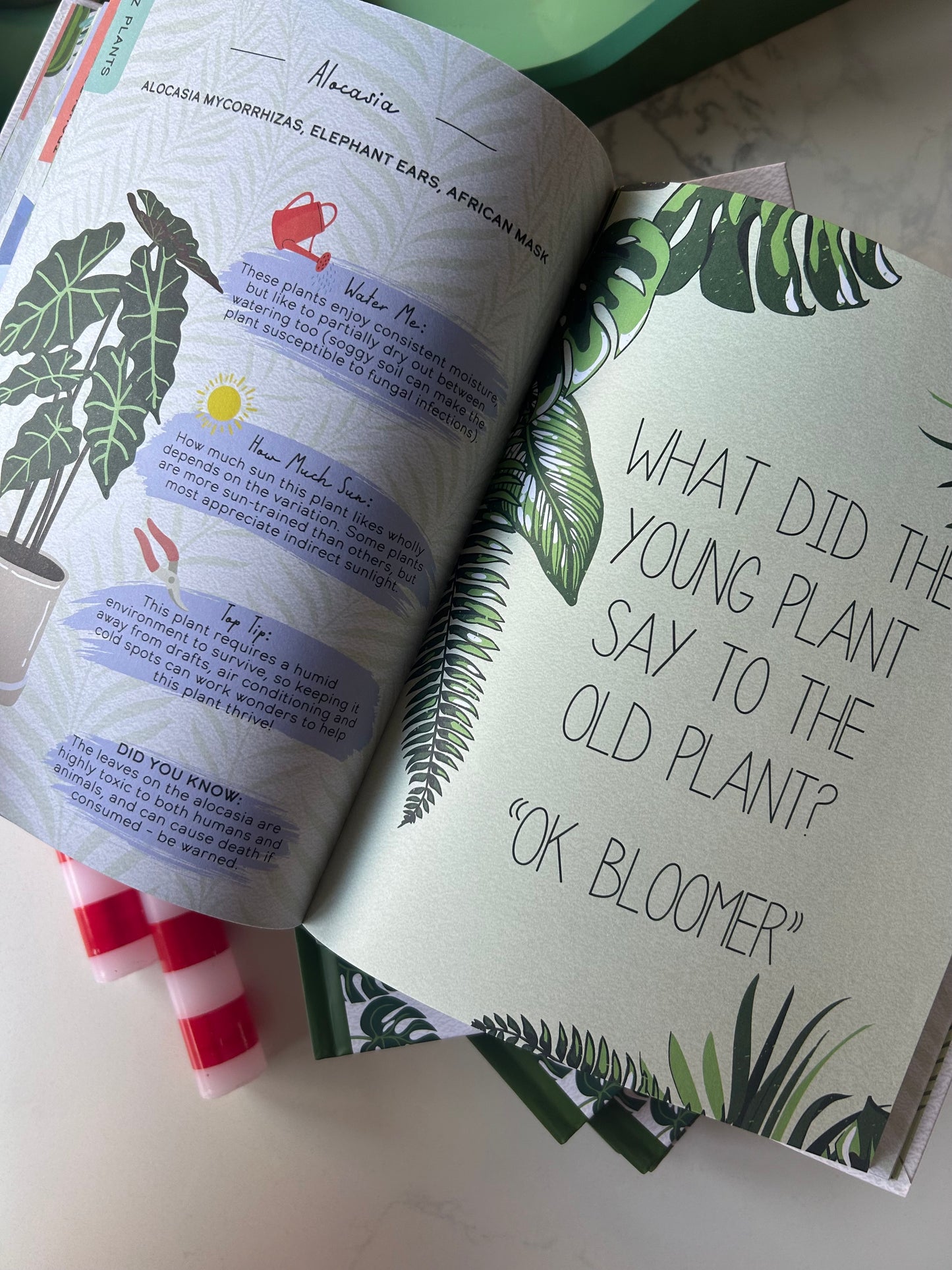 Please Don’t Die | A Funny Houseplant Care Book for Struggling Plant Parents