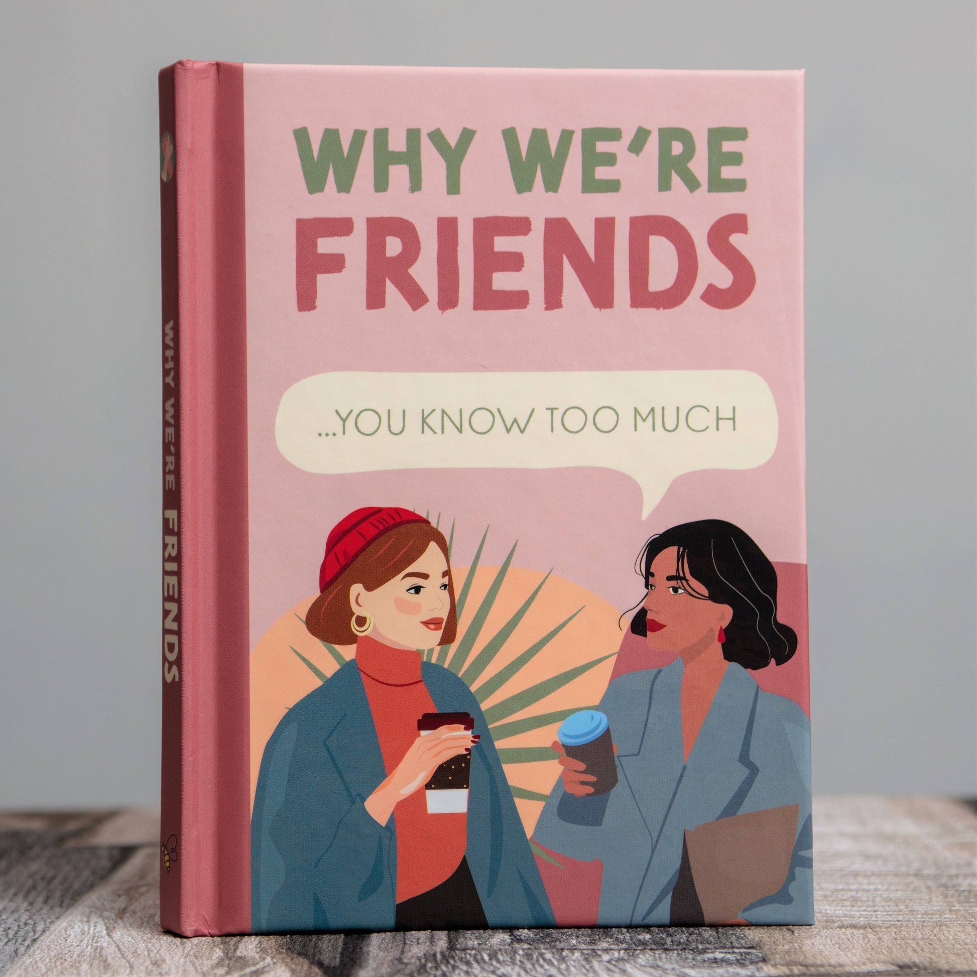 Book titled 'Why We're Friends' with illustrations of two women on a pink background.