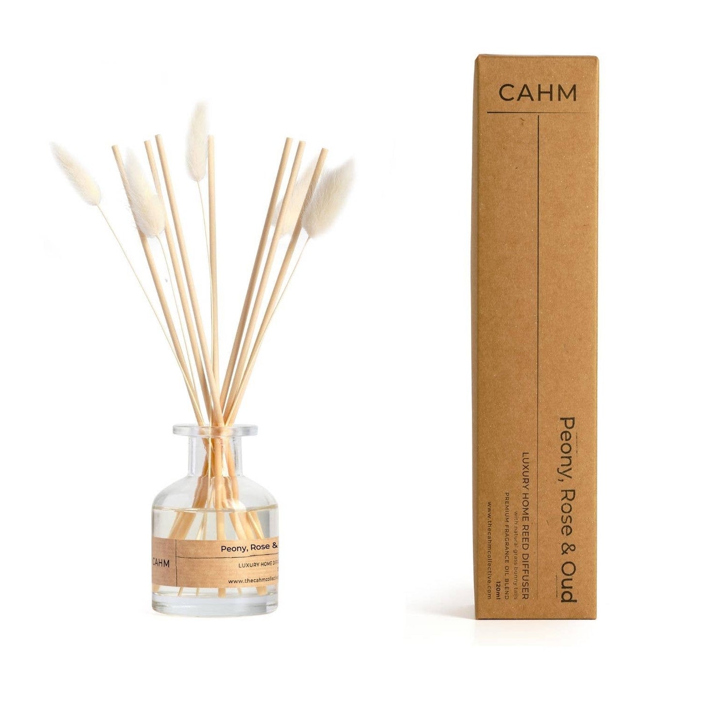 Reed diffuser set with bottle and sticks next to its cardboard box on a white background