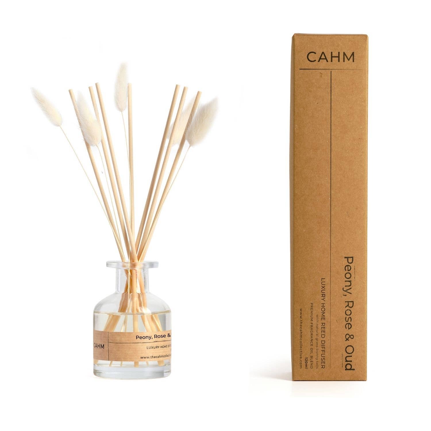 Reed diffuser set with bottle and sticks next to its cardboard box on a white background