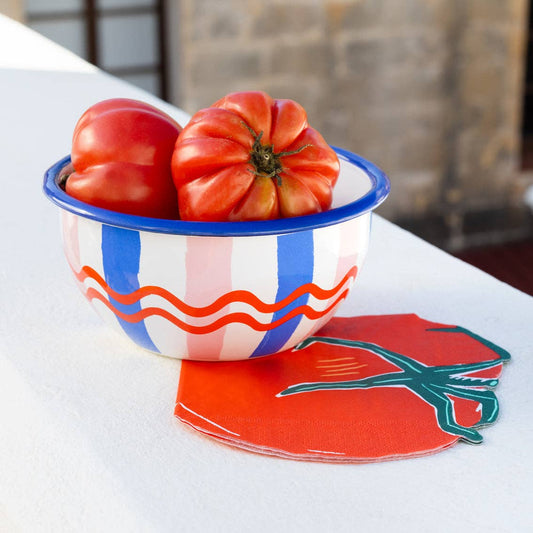 Colourful Stripe Tomato Enamel Bowl | Vintage Inspired Tableware
