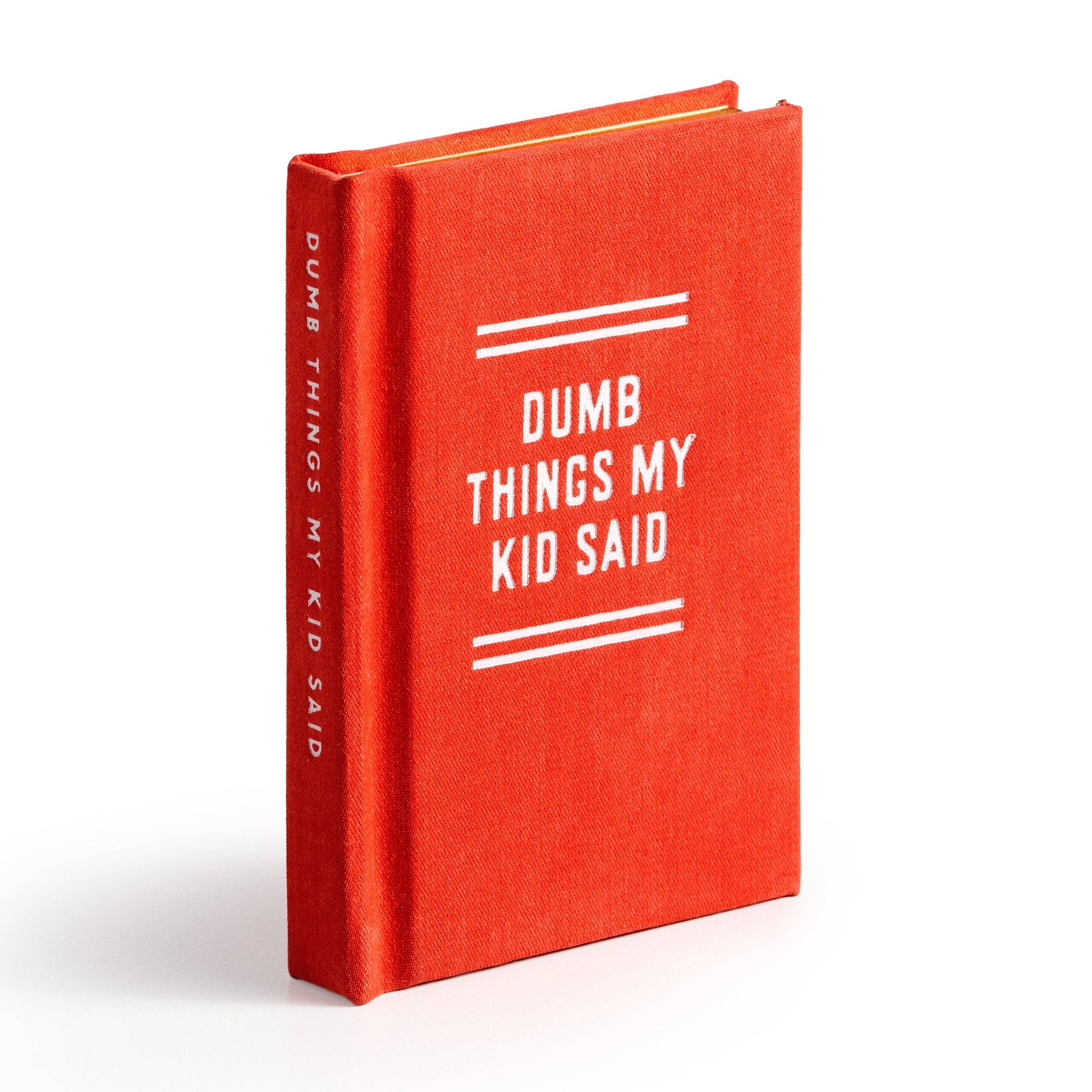 Red book titled 'Dumb Things My Kid Said' on a white background