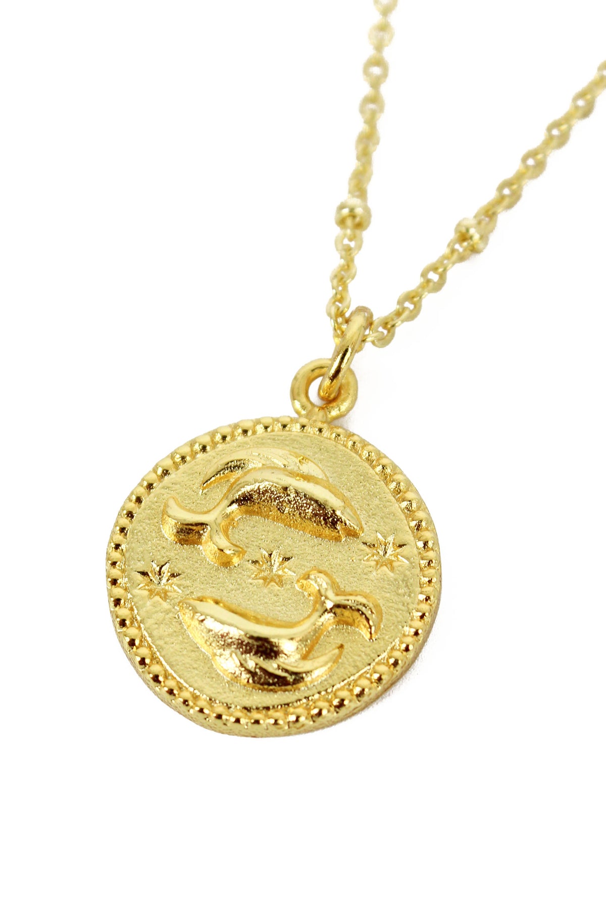 Pisces Zodiac Necklace | 18ct Gold Plated Fish Star Sign Pendant