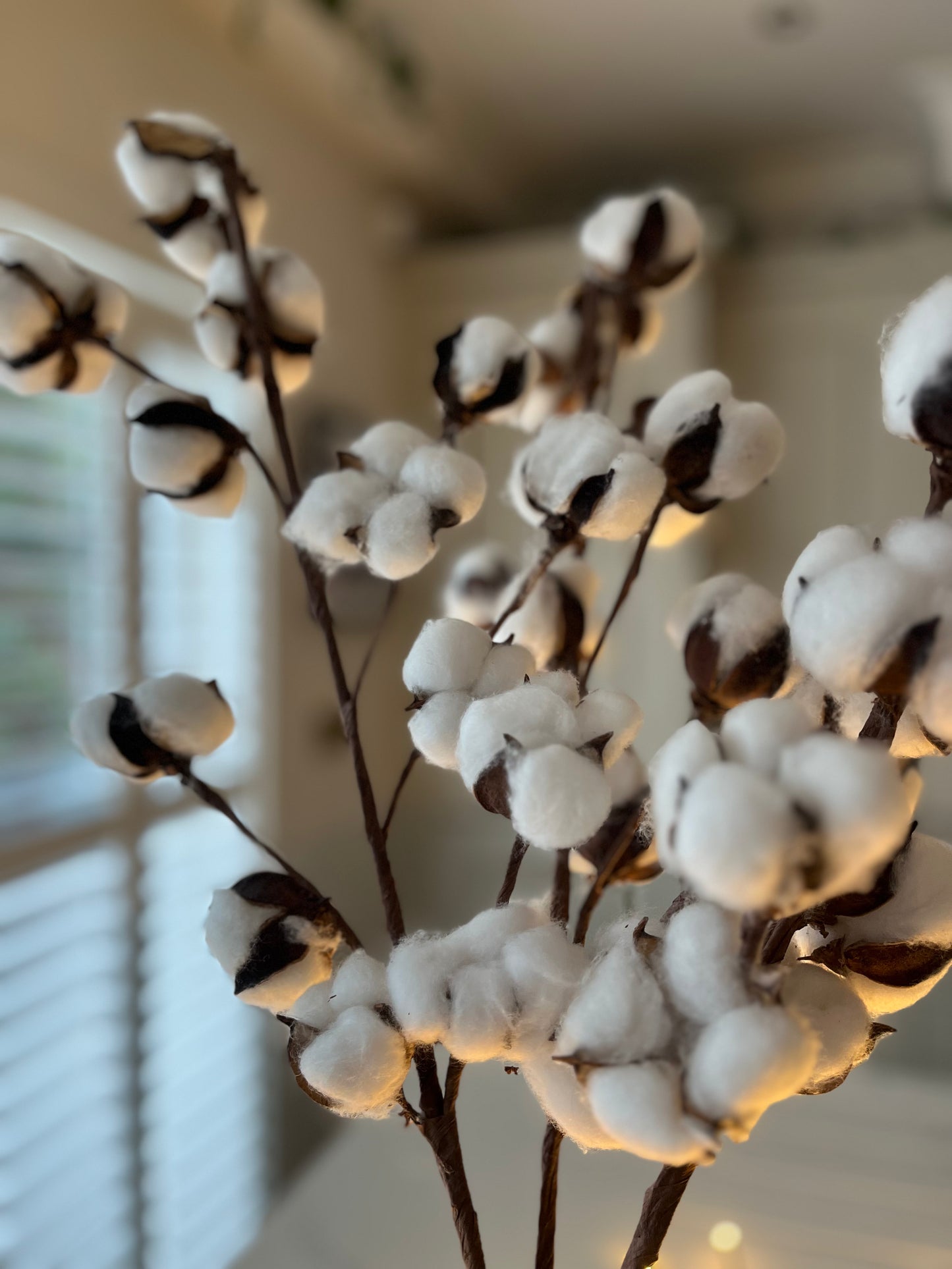 Natural Cotton Ball Decorative Branch – Real Cotton Pods