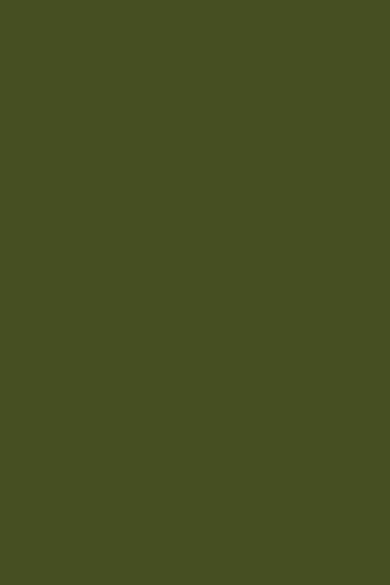 Mustard Made Colour Swatch | Locker & Cabinet Colour Tester