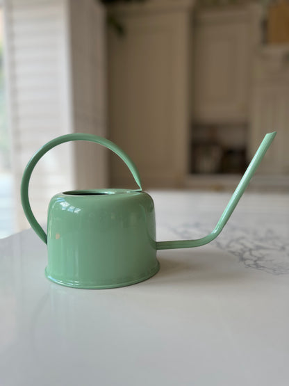 Enamel watering can