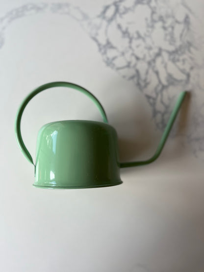 Enamel watering can
