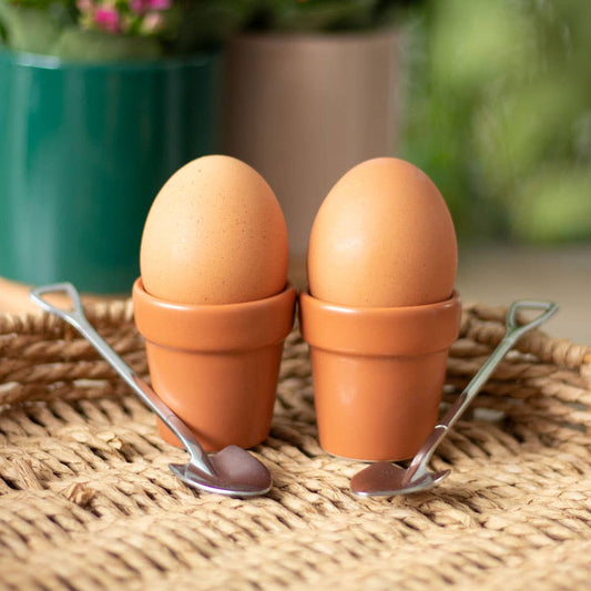 Mini Plant Pot Egg Cup Set with Shovel Spoons | Fun Garden Tableware