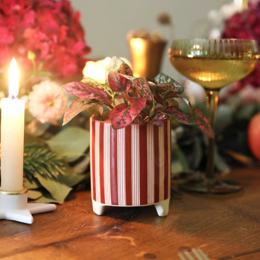 Red Stripe Mini Planter