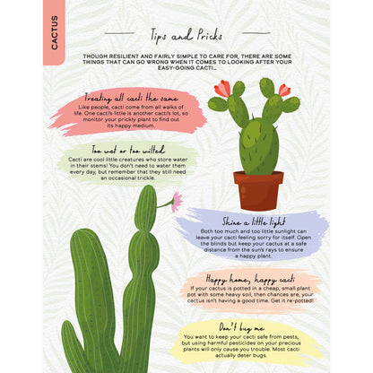 Sheet of paper with cactus illustrations and care tips on a white background