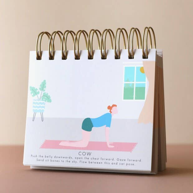 Daily Yoga Poses Flip Chart | Wellbeing