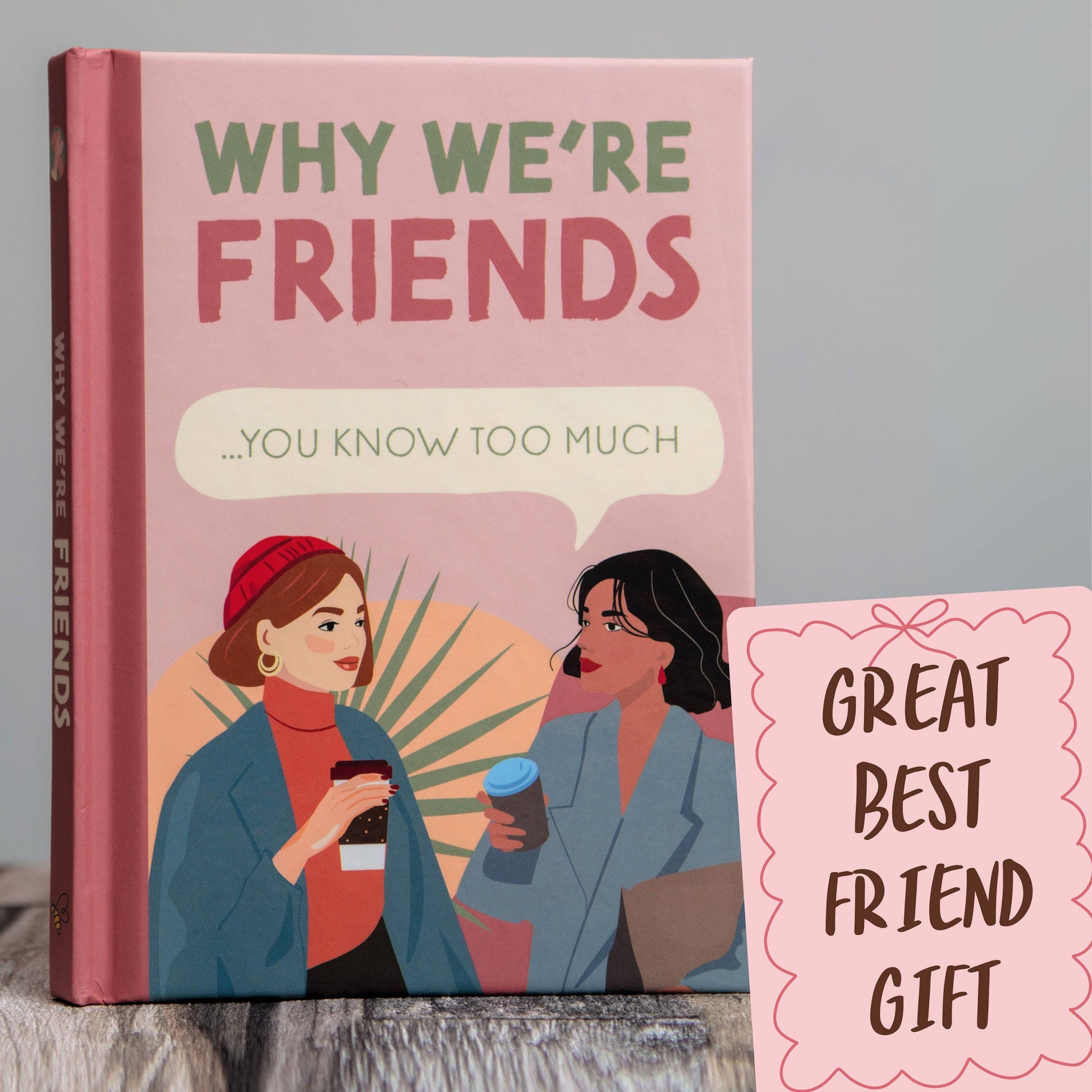 Book titled 'Why We're Friends' with illustration of two women and text on a pink background