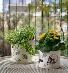 Home Decor Tattoos - French Doodle | DIY craft kit